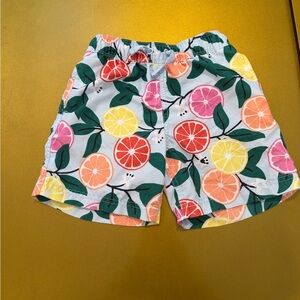 Hanna Andersson Boys Size 5 Swim Trunks